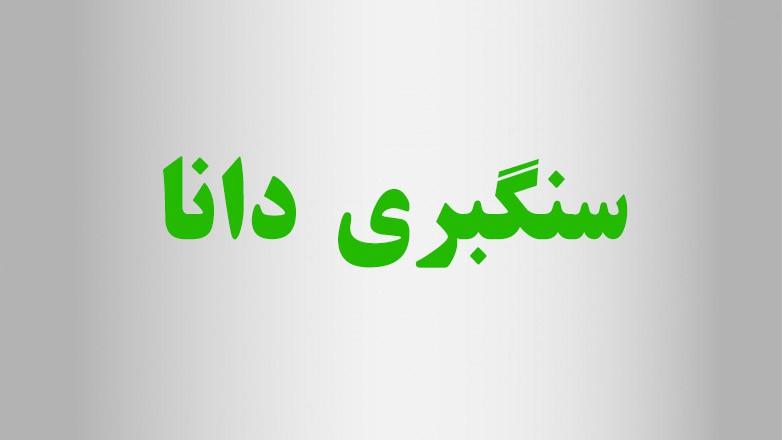 سنگبری دانا