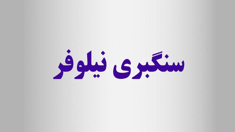 سنگبری نیلوفر